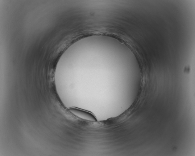 X0000110860525200906180948