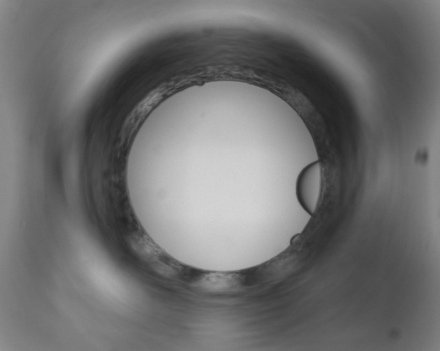 X0000110860526200906180948