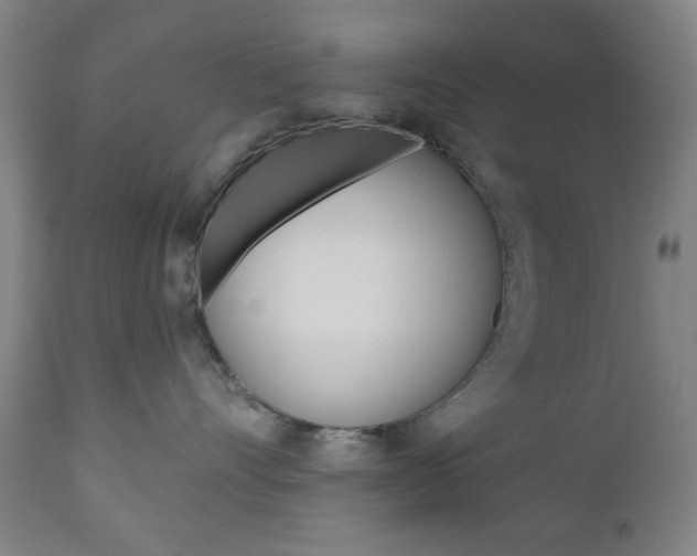 X0000110860528200906180948
