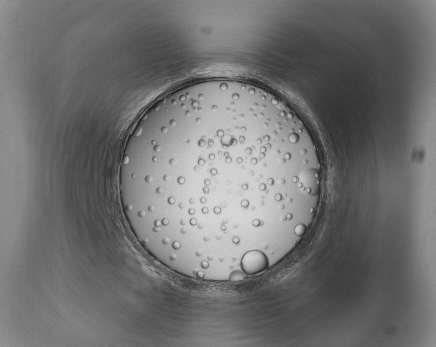 X0000110860529200906180947