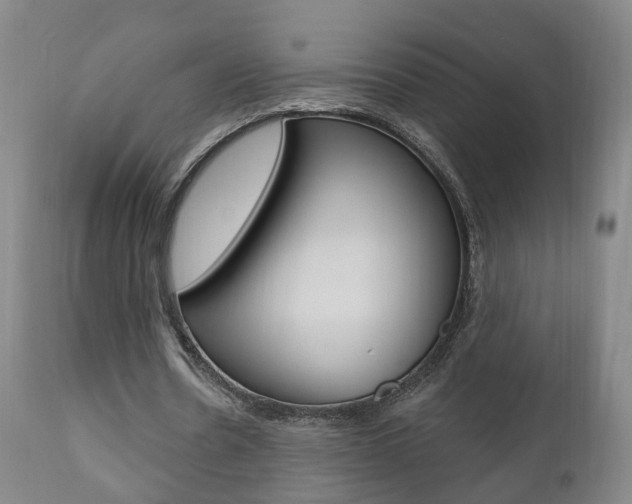 X0000110860530200906180947