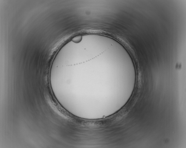 X0000110860533200906180947