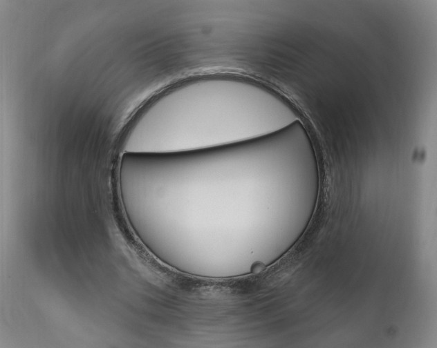 X0000110860535200906180947