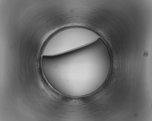 X0000110860536200906180947