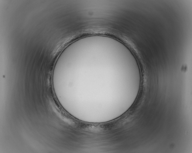 X0000110860537200906180947
