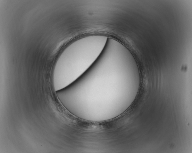 X0000110860543200906180948