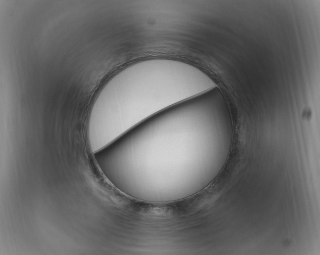 X0000110860546200906180948