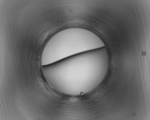 X0000110860547200906180948