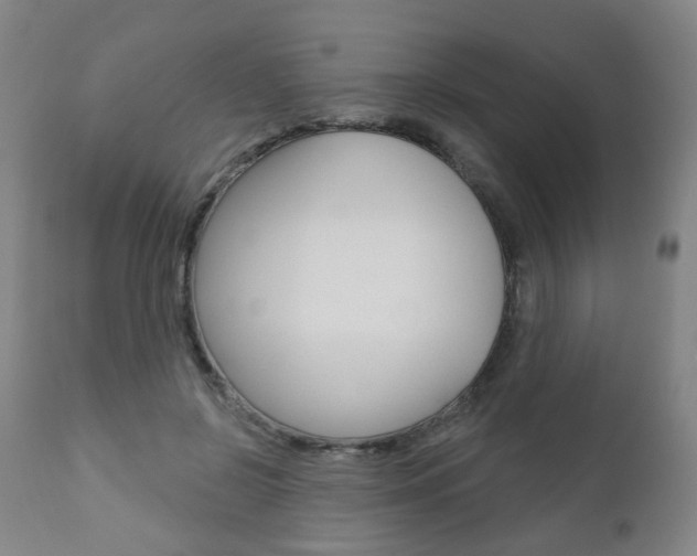 X0000110860550200906180948