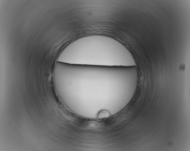 X0000110860555200906180948