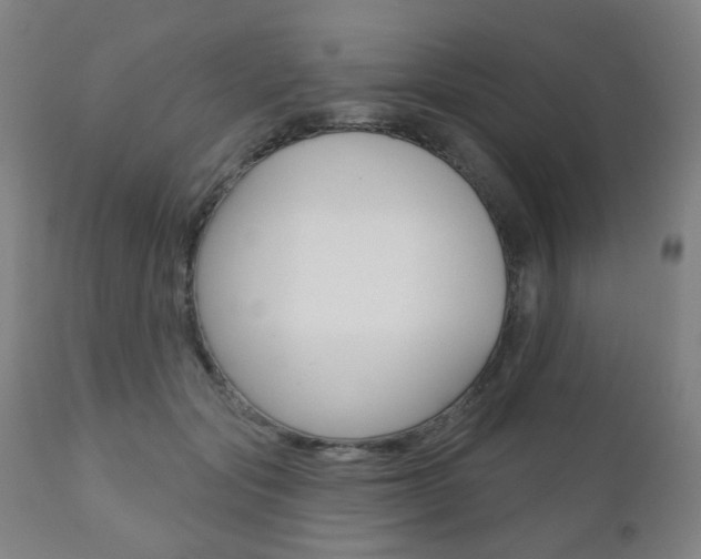 X0000110860557200906180948