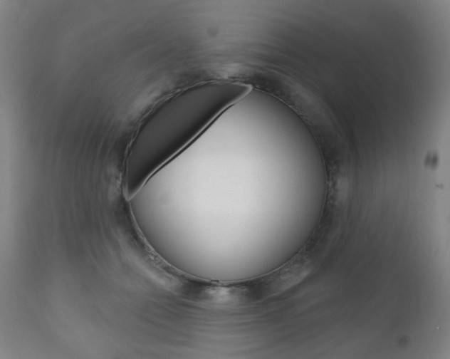 X0000110860558200906180948