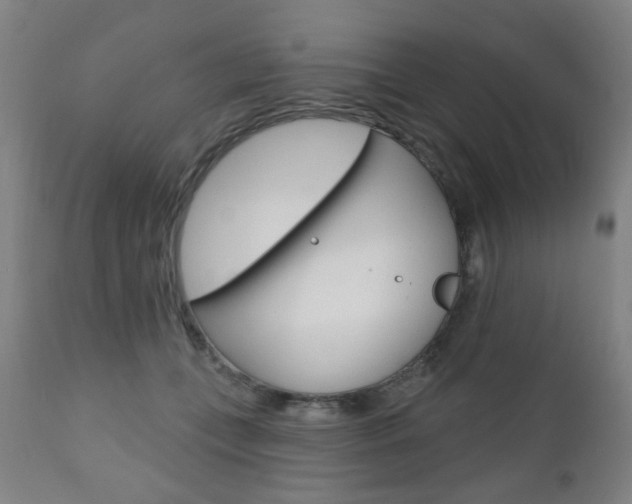 X0000110860559200906180948