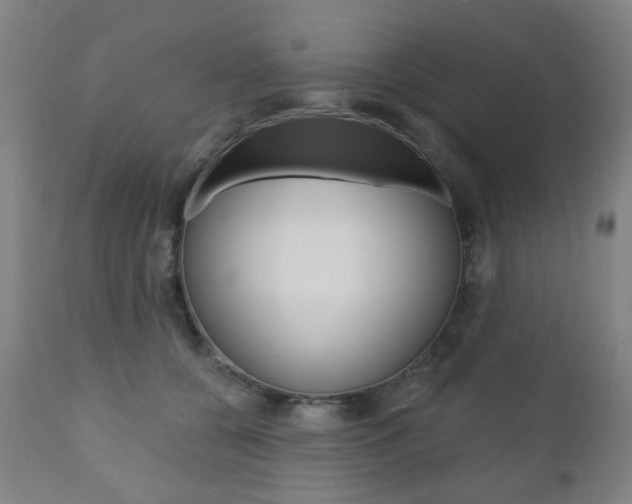X0000110860560200906180948