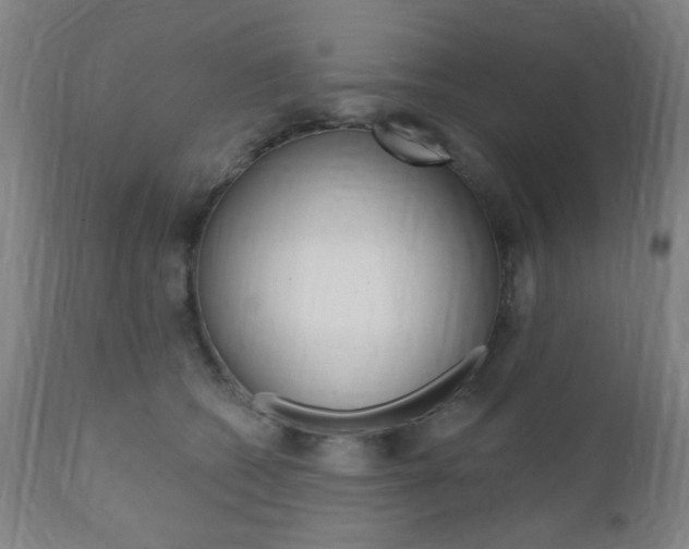 X0000110860562200906180948