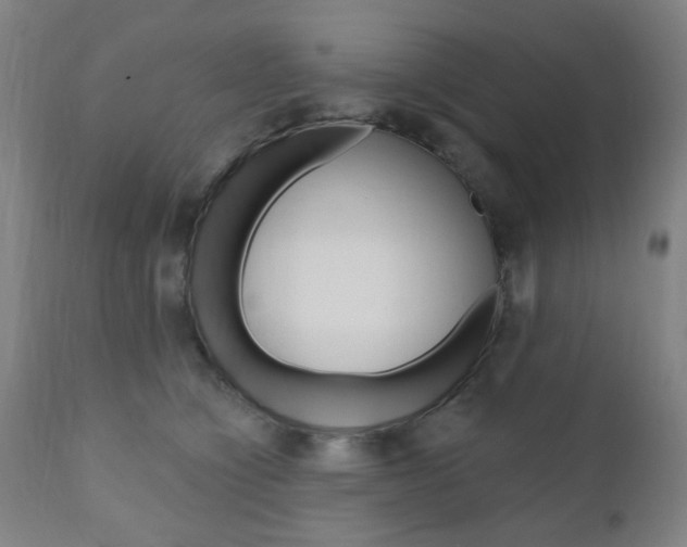 X0000110860564200906180948