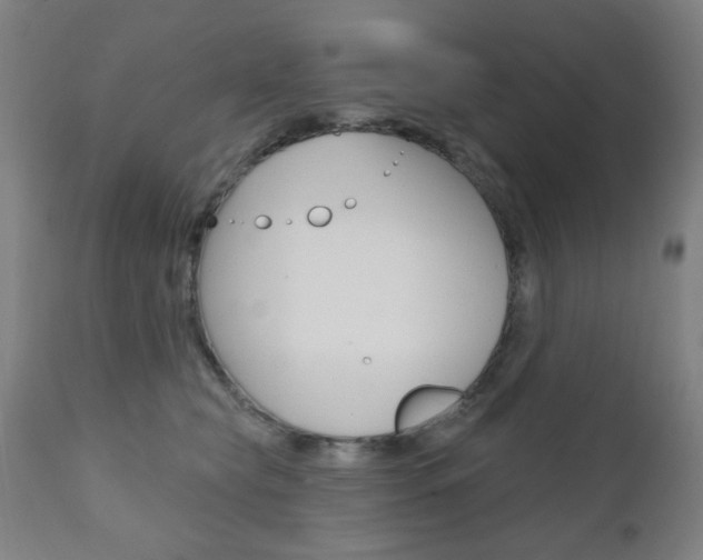 X0000110860565200906180948