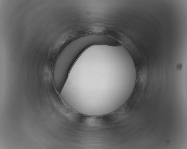 X0000110860568200906180948