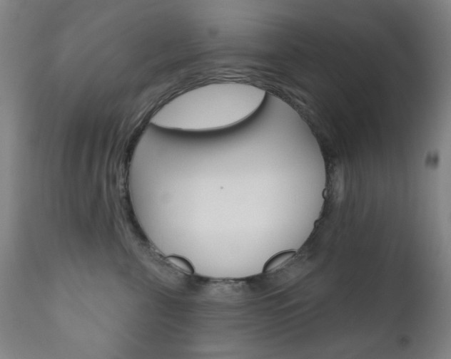 X0000110860571200906180948