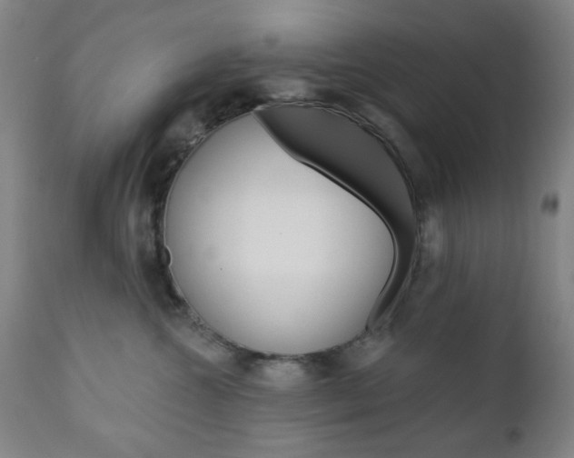 X0000110860572200906180948