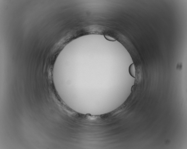 X0000110860573200906180948