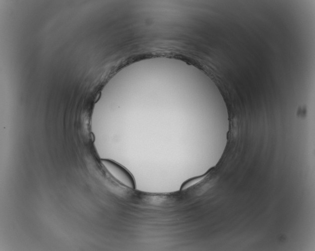 X0000110860575200906180948