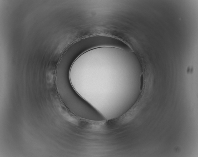 X0000110860576200906180948