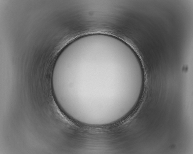 X0000110860577200906180947