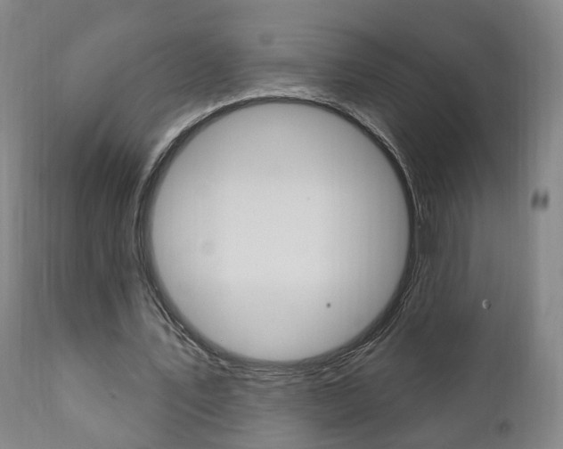 X0000110860579200906180947