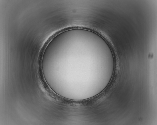 X0000110860580200906180947