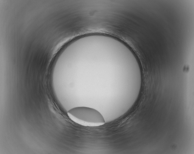 X0000110860583200906180947