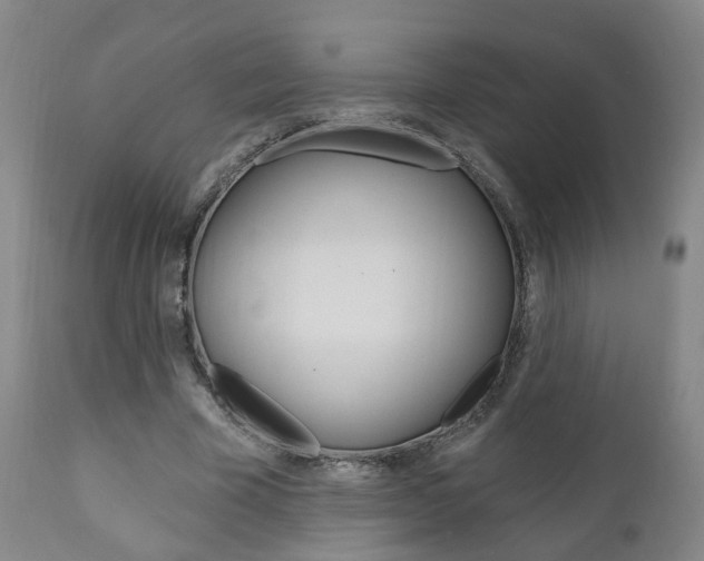 X0000110860585200906180947