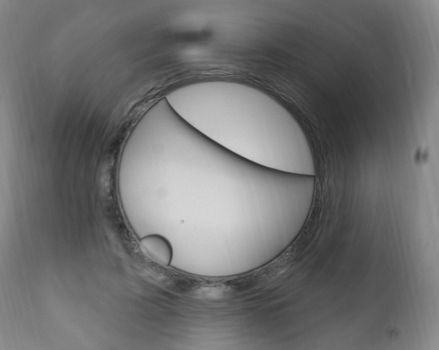 X0000110860595200906180947