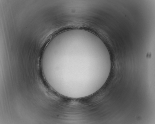 X0000110860596200906180947