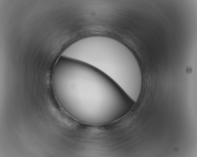 X0000110860597200906180947