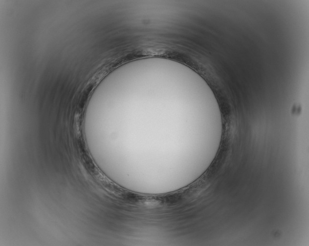 X0000110860598200906180947