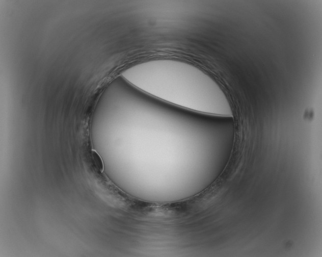 X0000110860601200906180947