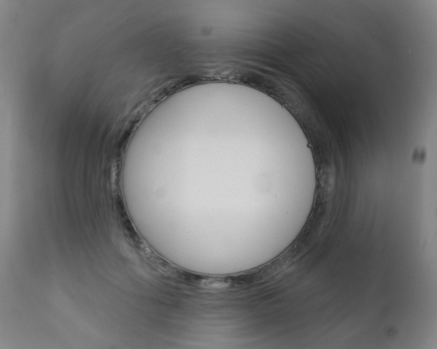 X0000110860602200906180947