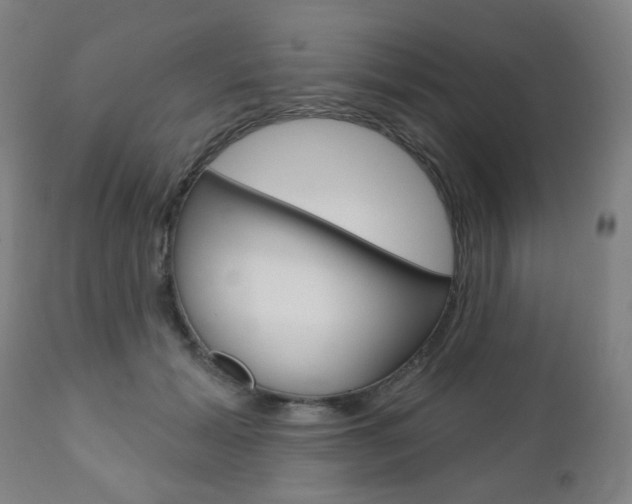 X0000110860605200906180947