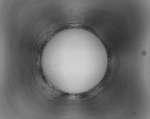X0000110860606200906180947