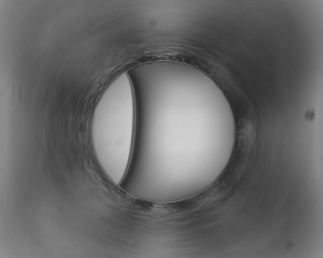 X0000110860608200906180947
