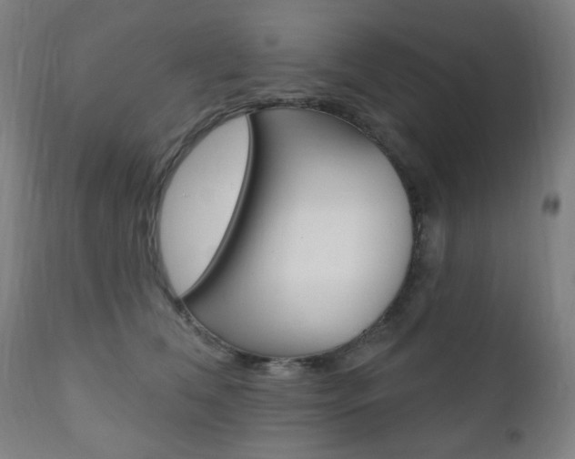 X0000110860612200906180947