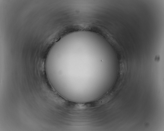 X0000110860613200906180947
