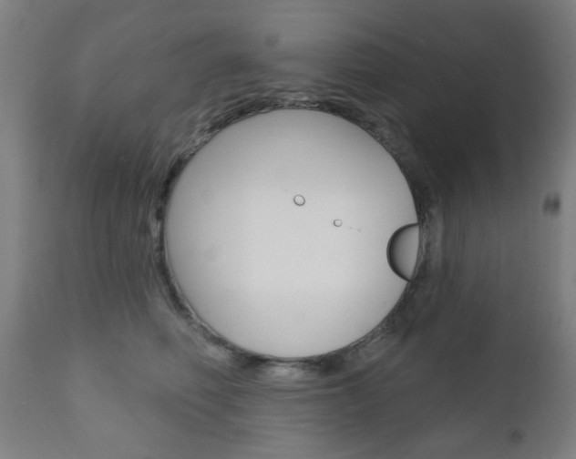 X0000110860614200906180947