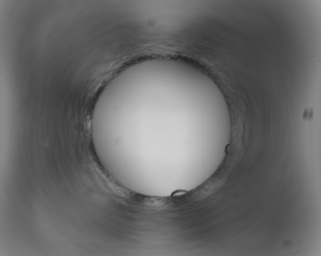 X0000110860624200906180947