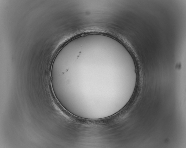 X0000110860625200906180946