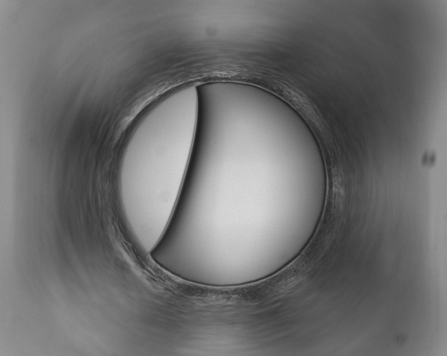 X0000110860626200906180946
