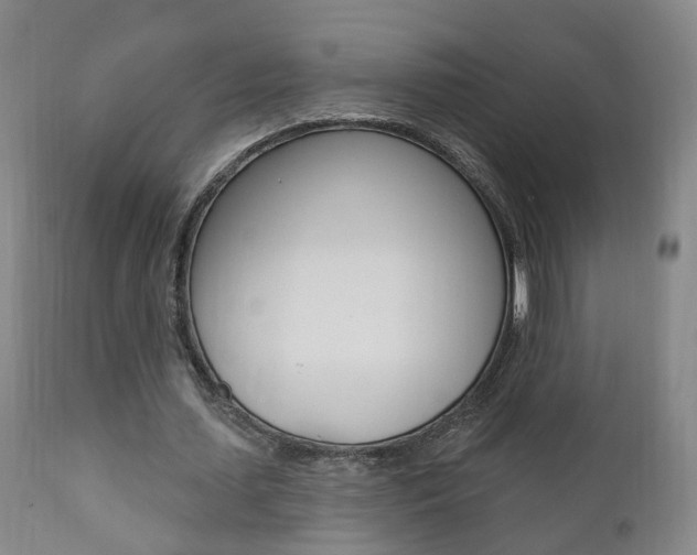 X0000110860627200906180946