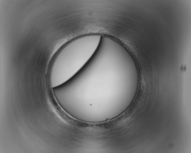 X0000110860630200906180946