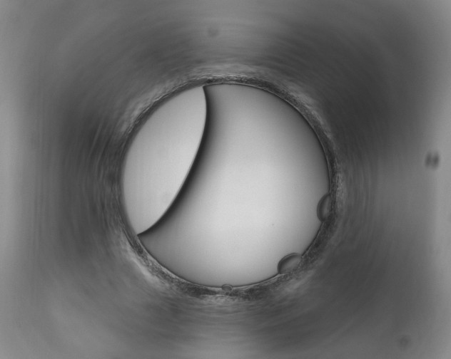 X0000110860633200906180946